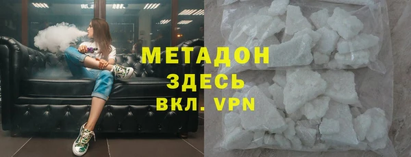 прущие грибы Балабаново
