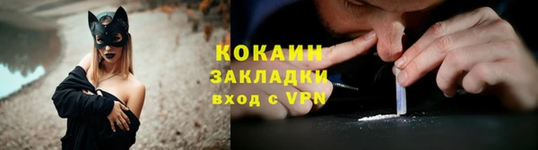 трава Арсеньев