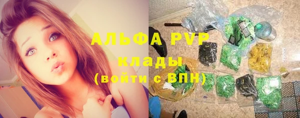 трава Арсеньев